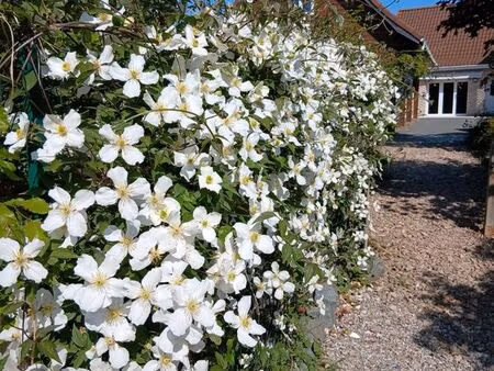 maison en campagne rénovée récemment avec grand jardin paysager 299 999