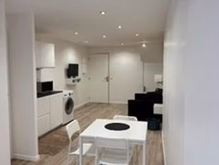 appartement meublé totalement rénové centre vieille ville historique annecy