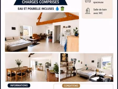 appartement a louer vaas