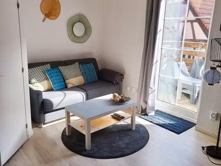 f2 meublé duplex schiltigheim calme petite copropriété grand balcon bois