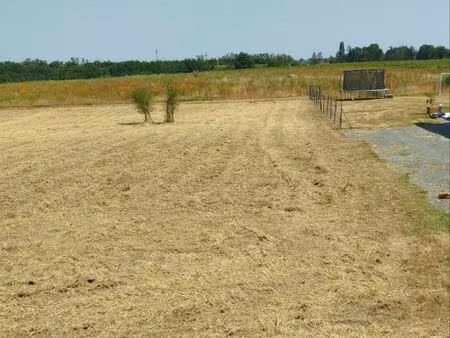 terrain constructible