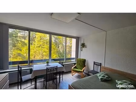 studio 22m2 meublé - trois épis