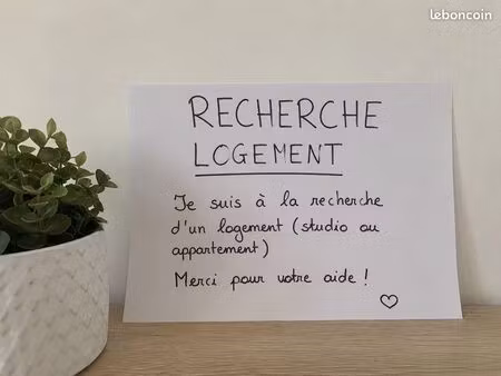 recherche location appartement