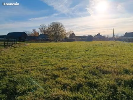 terrain 1 000 m² realcamp