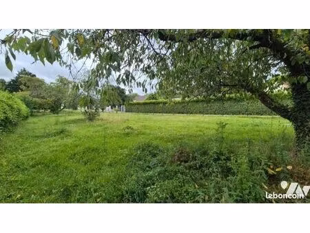terrain 1443 m² montigny sur loing