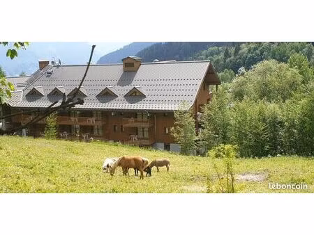 duplex 6 personnes domaine sybelles pied des pistes