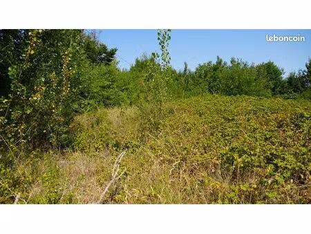 à vendre – 2 terrains de 1 000 m² chacun