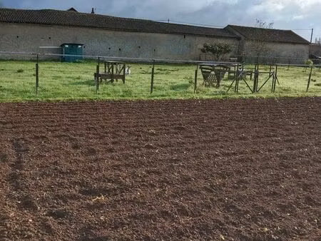 terrain constructible