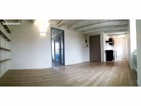 t2 31 m2 récent  secteur ruchoux + petit jardin commun