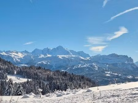 à céder – magasin de location / vente de ski – praz-de-lys (haute-savoie)