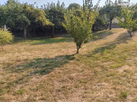 terrain constructible