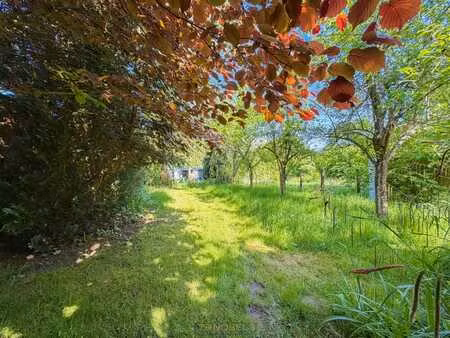 à vendre : maison 3 façades à rénover sur un vaste terrai...