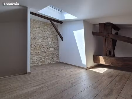 appartements triplex de caractère à louer – leyr