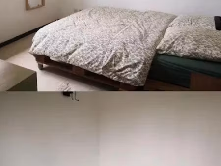 location meublée appartement 2 pièces 31 m² à saint-etienne (42000)  458 €