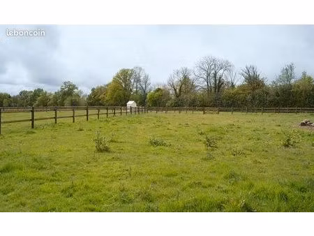recherche pré / terrain agricole à louer pour cheval