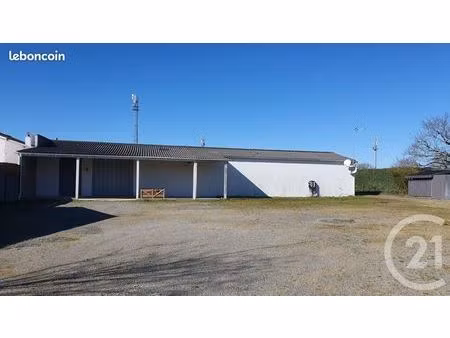 commerce 517 m²