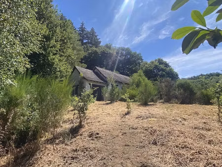 vente maison 2 pièces 36 m² à saint-méard (87130)  44 800 €
