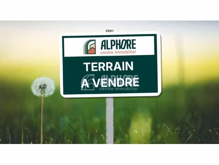 terrain - fedrun - saint joachim 1340 m2