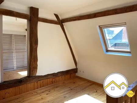 ombree d'anjou - appartement 2 pièces en duplex