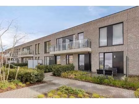 à louer chez immodavid – magnifique appartement 2 chambres .