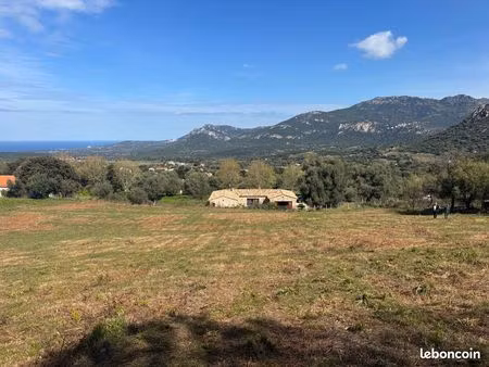 terrain constructible -calenzana