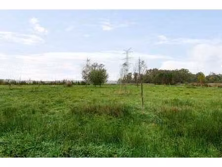 terrain agricole