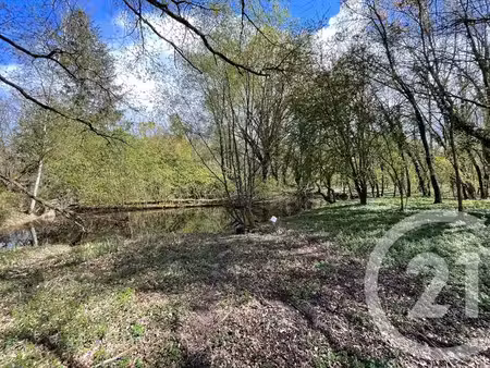 terrain à vendre - 6804 m2 - villefranche sur cher - 41 - centre