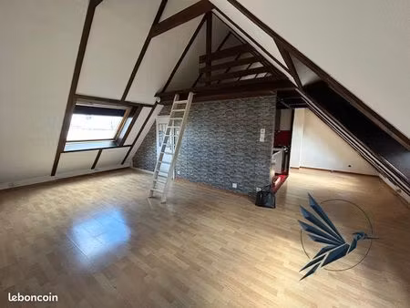 duplex 1 pièce 31 m²