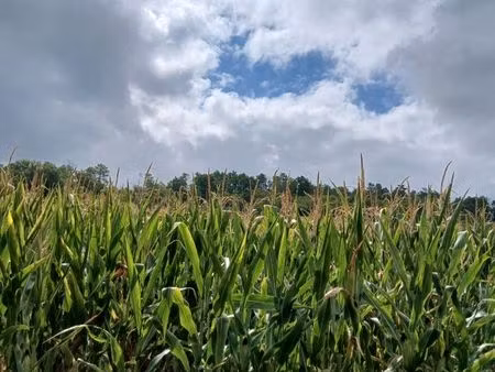 terre agricole