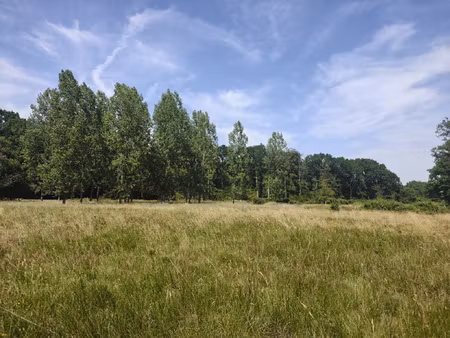 terrain de loisir