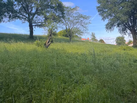 vente terrain  2981.00m²  albi
