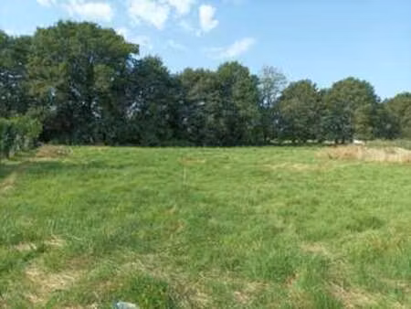 vente terrain à messac (35480) : à vendre / messac