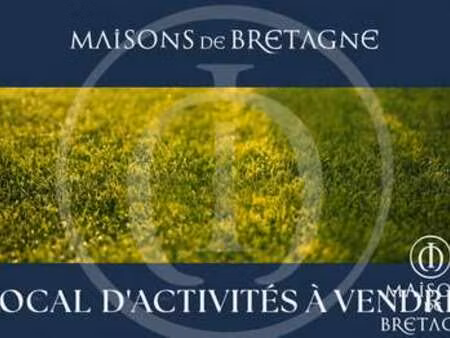 vente bureaux et commerces à bannalec (29380) : à vendre / 150m² bannalec