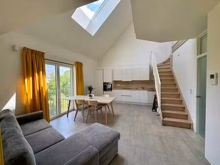 appartement duplex 70m2 1 ch et parking souterrain