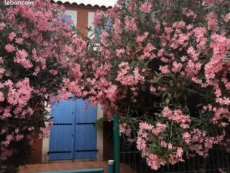 à louer – charmante maison meublée f4 à torreilles plage – location d’hiver