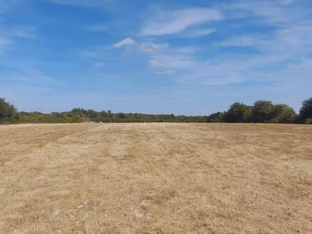 terrain