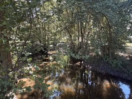 ancien moulin  maison au calme