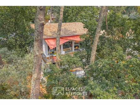 villa d'architecte lumineuse au coeur de la nature