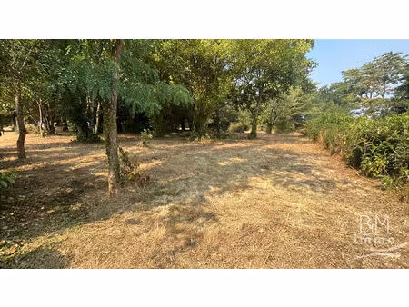 a vendre  belle parcelle sur la commune de taller