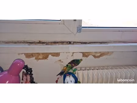 recherche maison à louer  4 chambres urgent