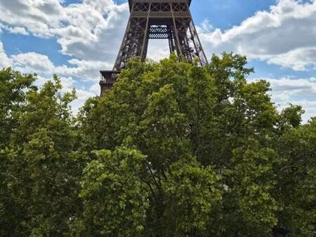 2 pièces meublé