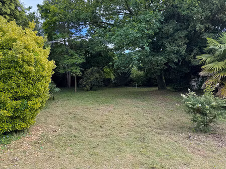 terrain segre 728 m2