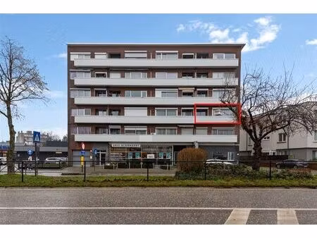 appartement à louer à mechelsesteenweg 47 mortsel (rbw55402)