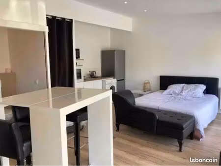 grand studio meublé 31 m² – disponible à partir du 15 août 2026 – 600 cc