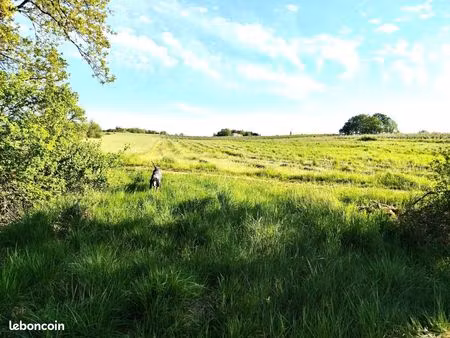 terrain 4 325 m² carnac rouffiac