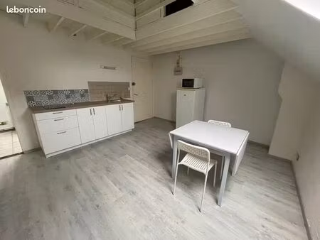 studio 19m2 meublé avec mezzanine