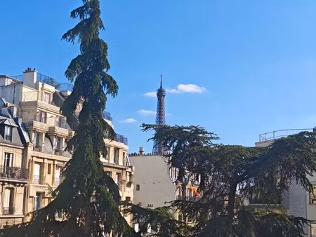 rue george bizet - superbe 4 pieces de 111m2 - vue sur la tour eiffel