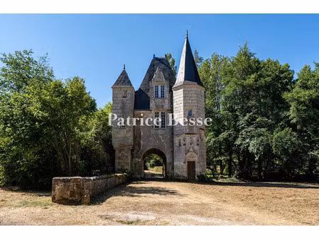 vente château 10 pièces 390 m² à montrichard (41400)  980 000 €