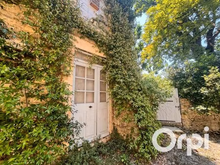 propriété de caractère en pierre - 2 habitations indépendantes de près de 700 m² au cœur..