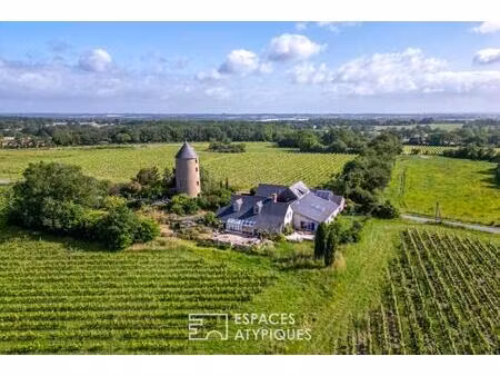 propriété d'exception au coeur des vignes